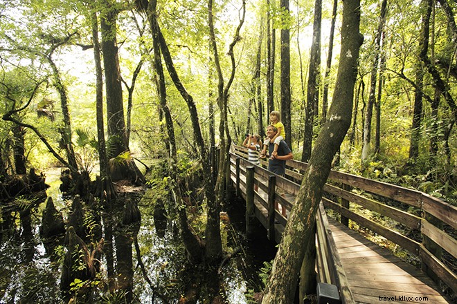 Mengapa Fort Myers &Sanibel Membuat Daftar Singkat Liburan Musim Panas Kami 